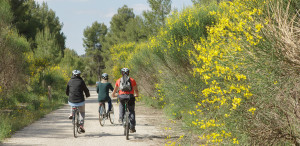 via verda horta sant joan lloguer de bicicletes alquiler de bicicletes