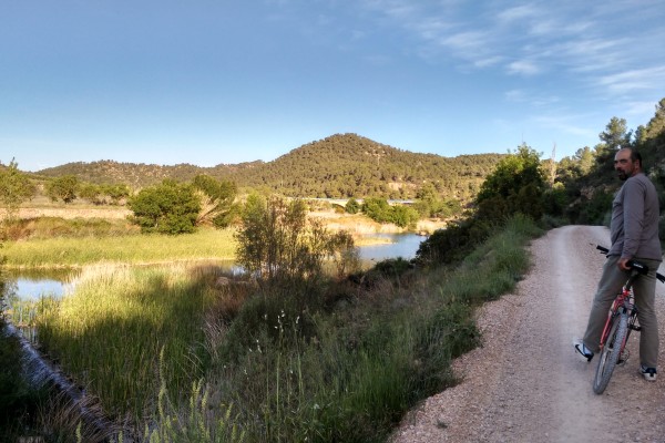 Arribant al Pont de la carretera